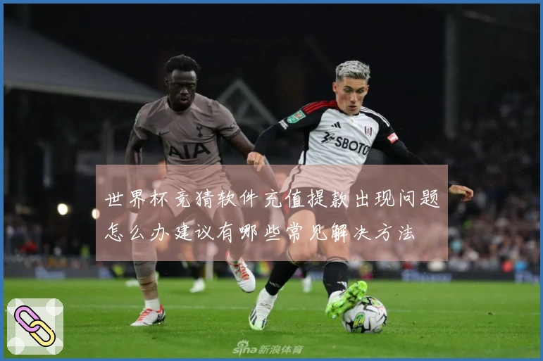世界杯竞猜软件充值提款出现问题怎么办建议有哪些常见解决方法