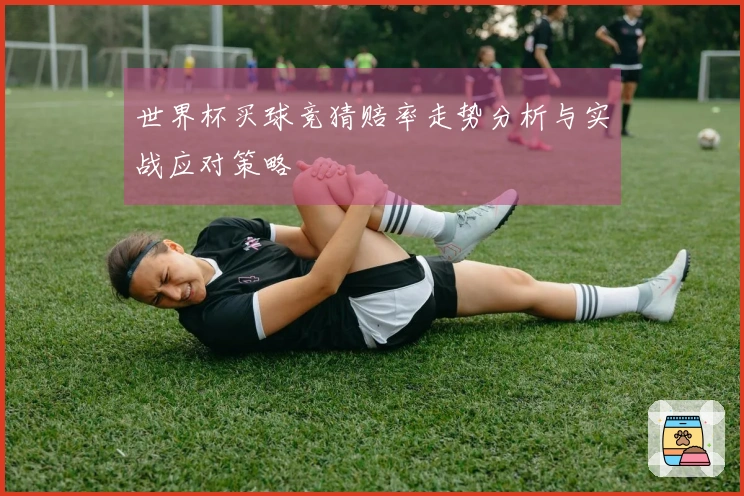 世界杯买球竞猜赔率走势分析与实战应对策略