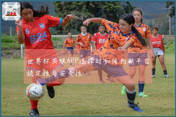世界杯买球APP选择时如何判断平台稳定性与安全性
