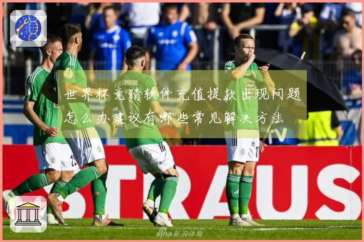 世界杯竞猜软件充值提款出现问题怎么办建议有哪些常见解决方法